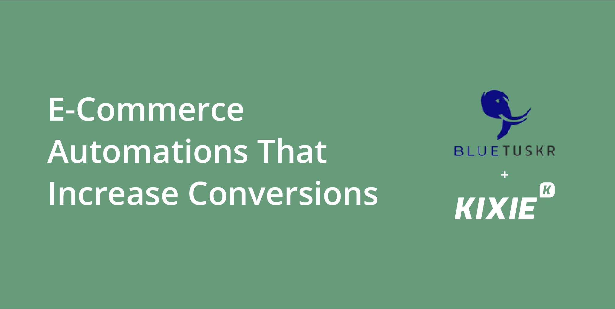 E-Commerce Automations That Increase Conversions | BlueTuskr