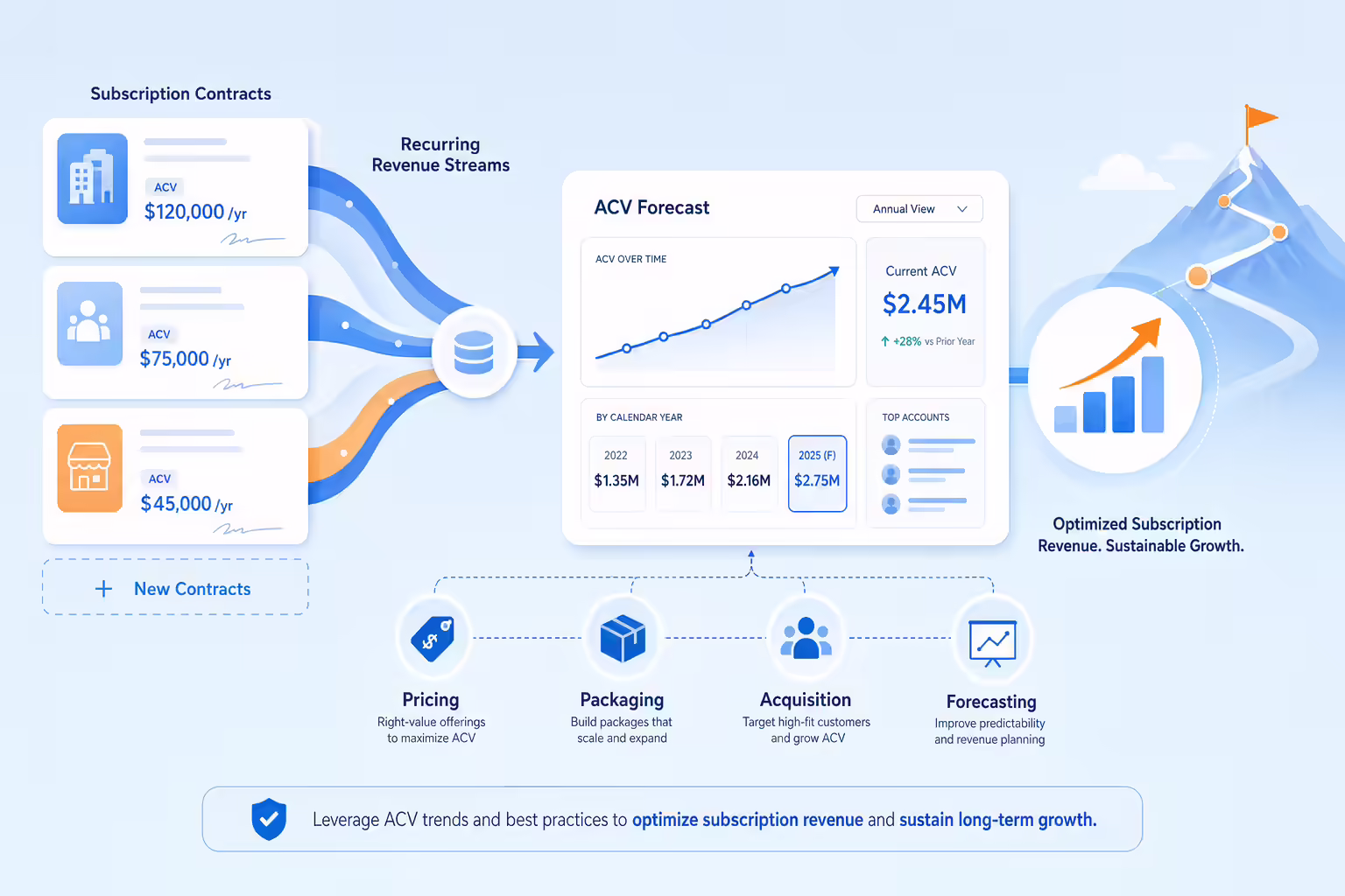 Annual contract value guiding SaaS revenue decisions